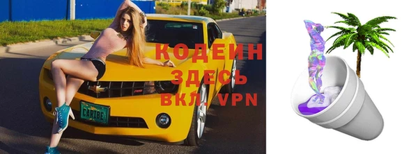 шишки Жердевка