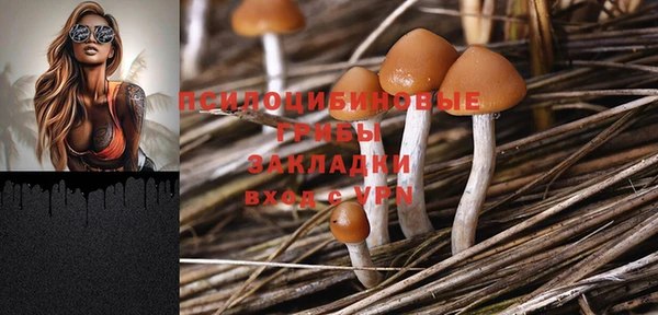 тгк Кулебаки