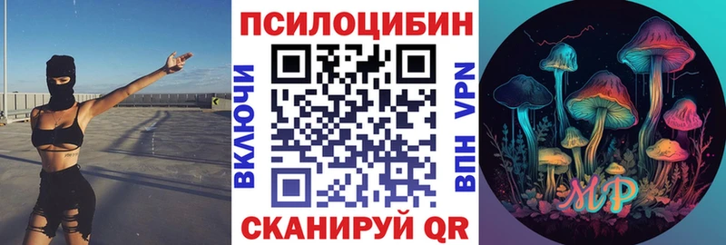 Псилоцибиновые грибы Psilocybine cubensis  Минеральные Воды 